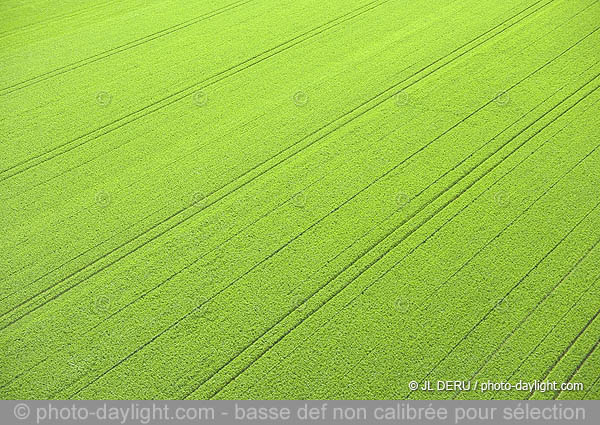 agriculture - Hesbaye